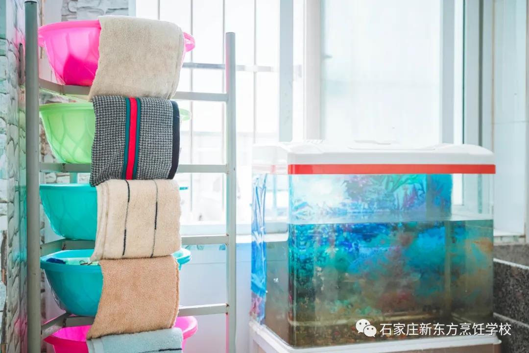 一見傾心丨get宿舍相處之道，幸福值拉滿~