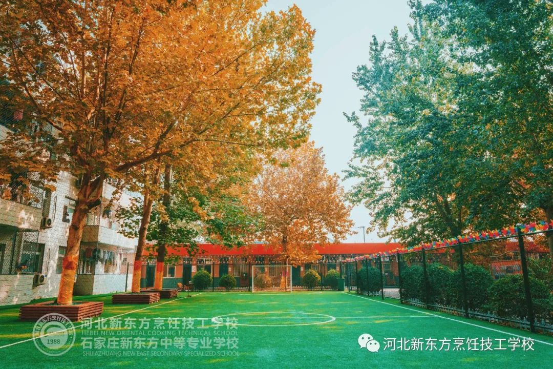 趁年輕，一技傍身！偷偷卷起來~